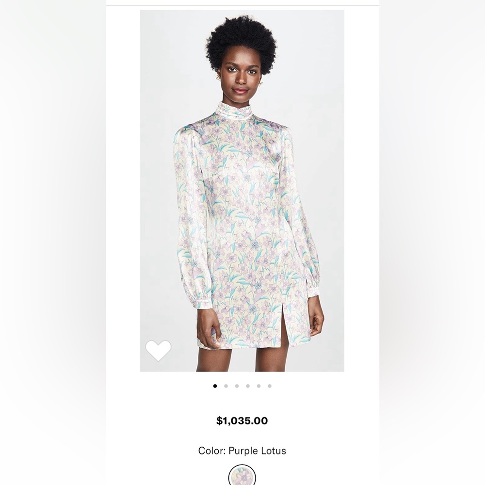 Raquel Diniz silk dress great condition